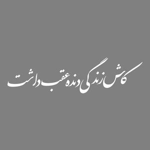 برچسب بدنه خودرو طرح کاش زندگی دنده عقب داشت کد MT-W413
