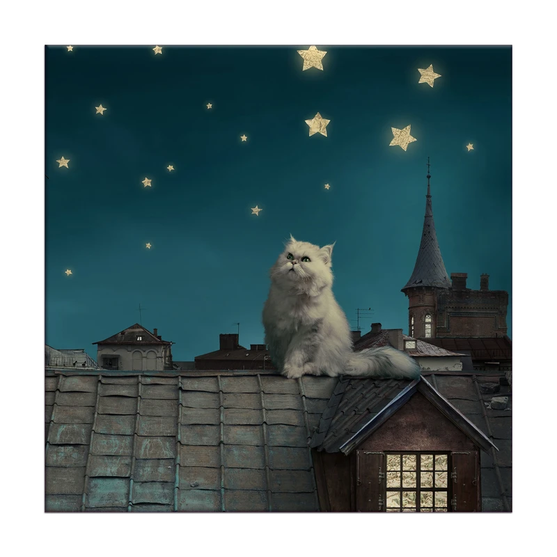 تابلو شاسی مدل R1186 طرح گربه و آسمان و ستاره