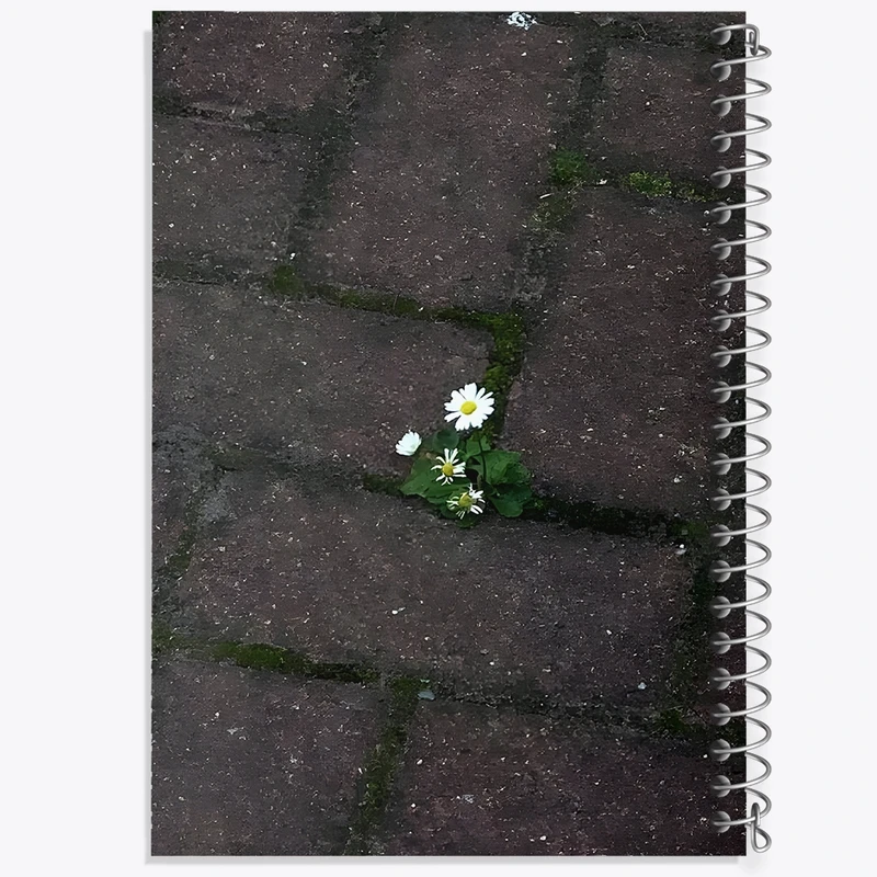 دفتر نت موسیقی 50 برگ خندالو مدل گل کد F1371