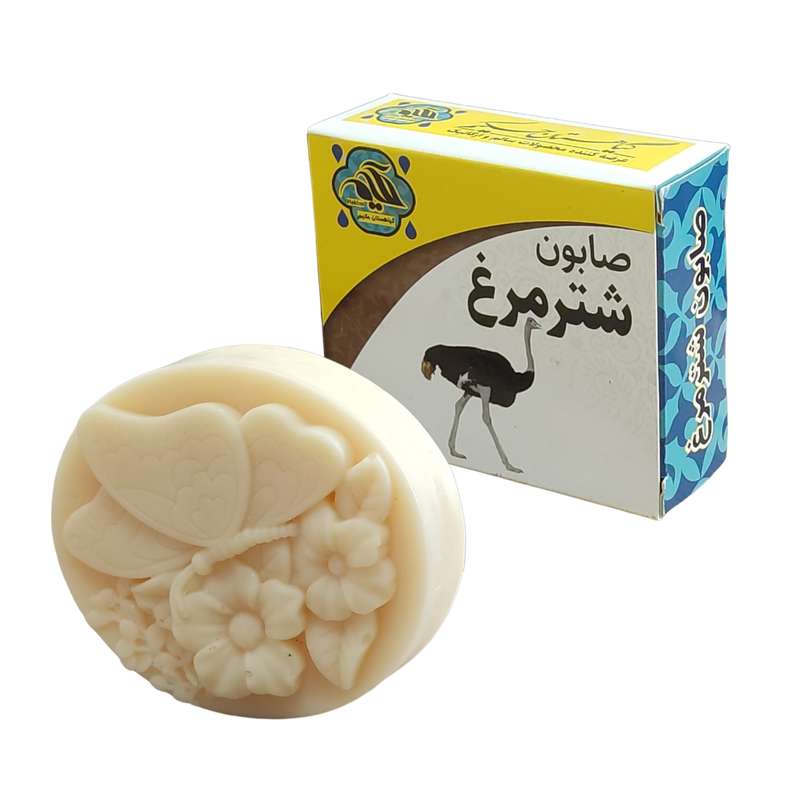 صابون شستشو  گیاهستان حکیم مدل شترمرغ وزن 70 گرم