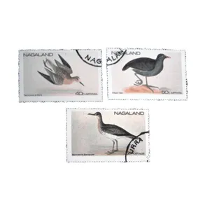 تمبر یادگاری مدل  پرندگان ناگالند کد DS4161 مجموعه 3عددی