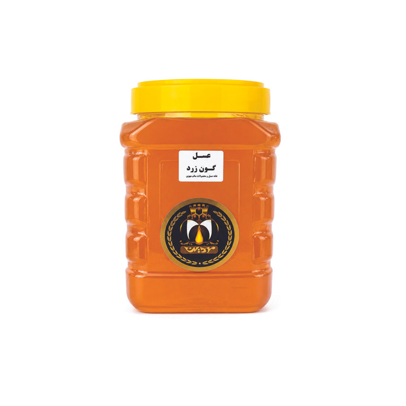 عسل طبیعی گون زرد مهوین - 3000 گرم 