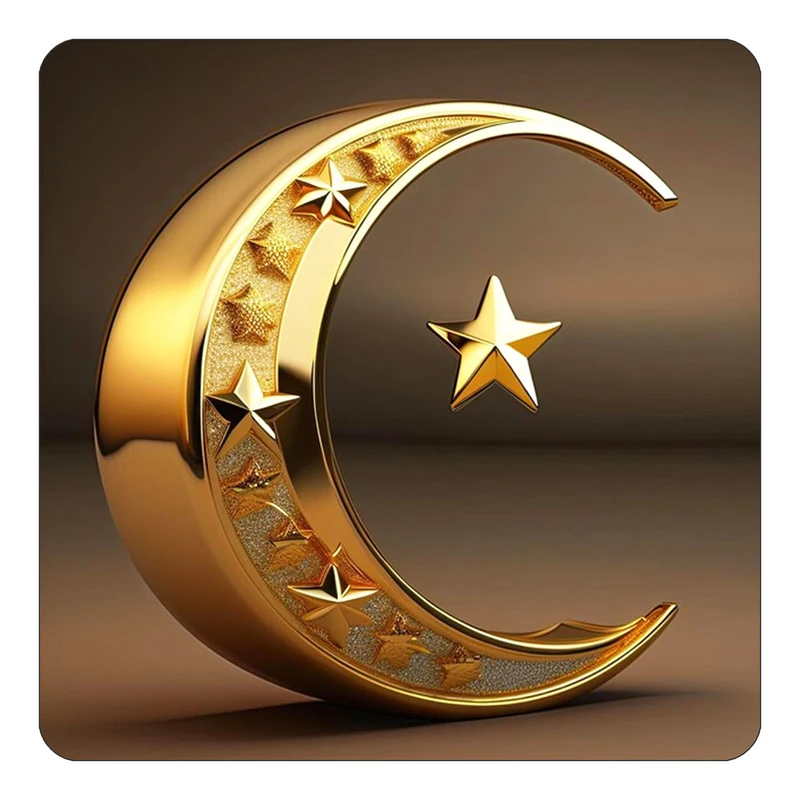 مگنت کاکتی طرح ماه و ستاره مدل mp52334