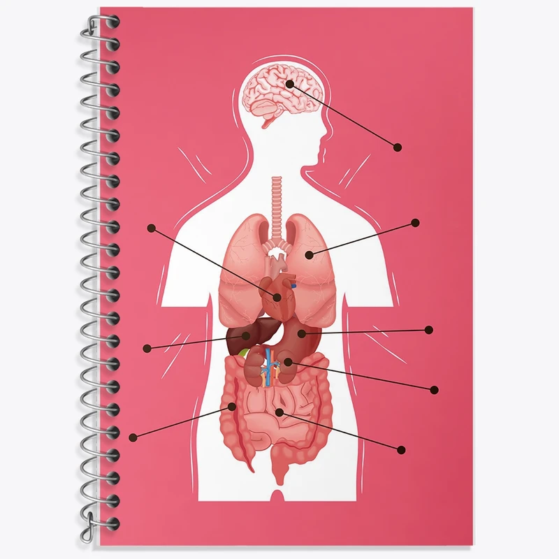 دفتر زبان 50 برگ خندالو مدل سه خط طرح ماکت بدن انسان کد F1703