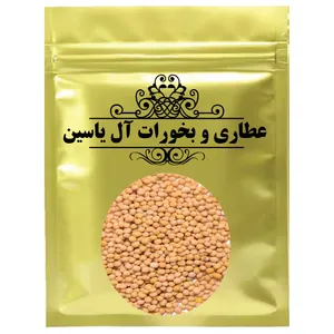 خردل دان - 1000 گرم