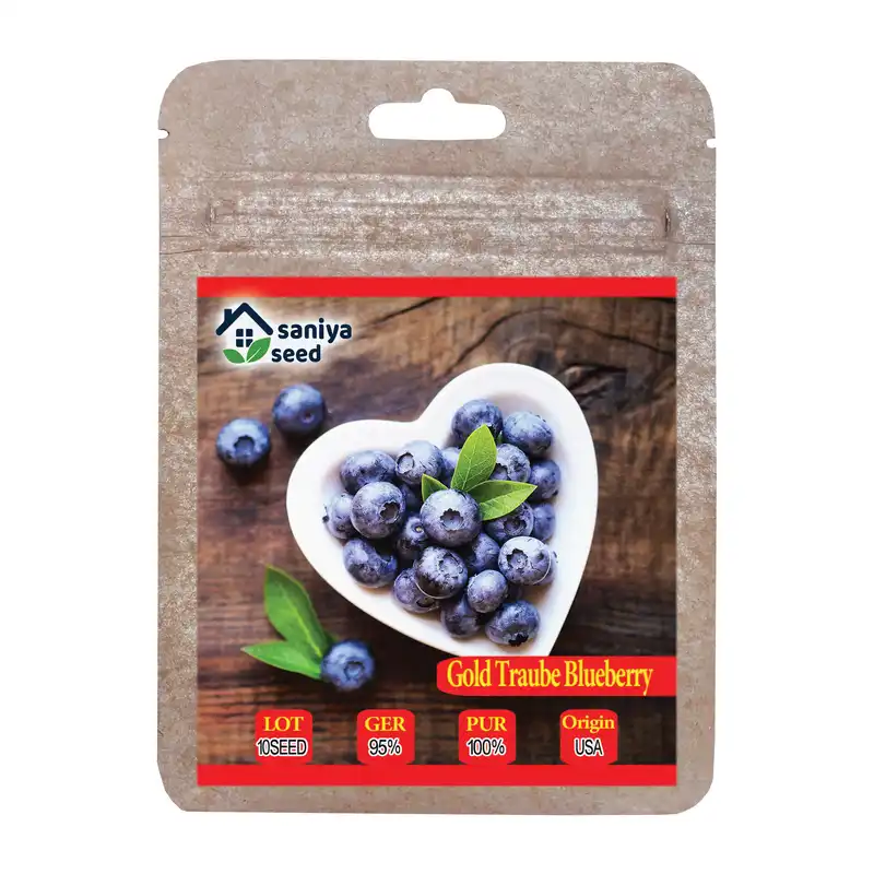 بذر بلوبری گلدتراپ سانیا سید مدل  SS79