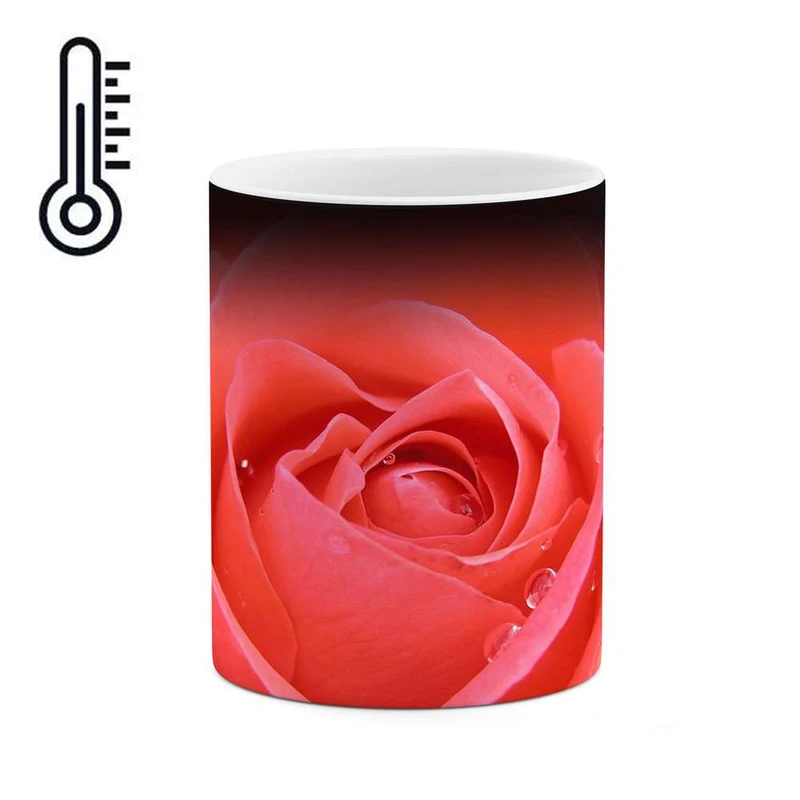 ماگ حرارتی کاکتی مدل گل رز کد mgh12017