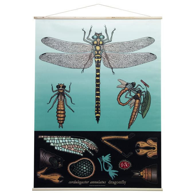 دیوارکوب ایکیا مدل SIBBARED