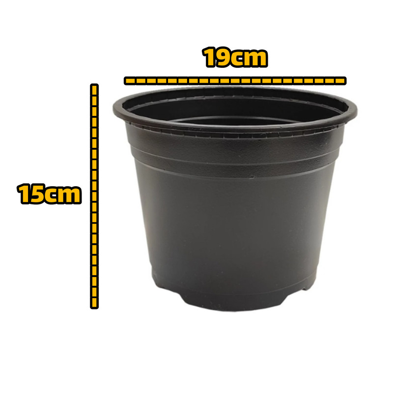 گلدان مدل ژله ای کد 19 بسته 10عددی