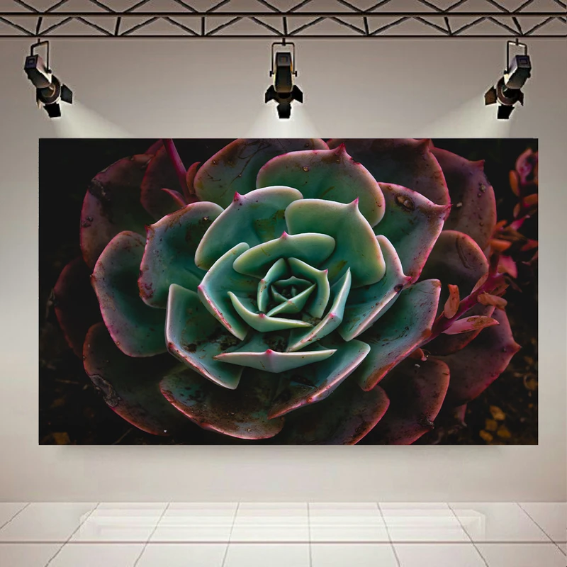 تابلو بوم طرح گل مدل Echeveria کد AR2851