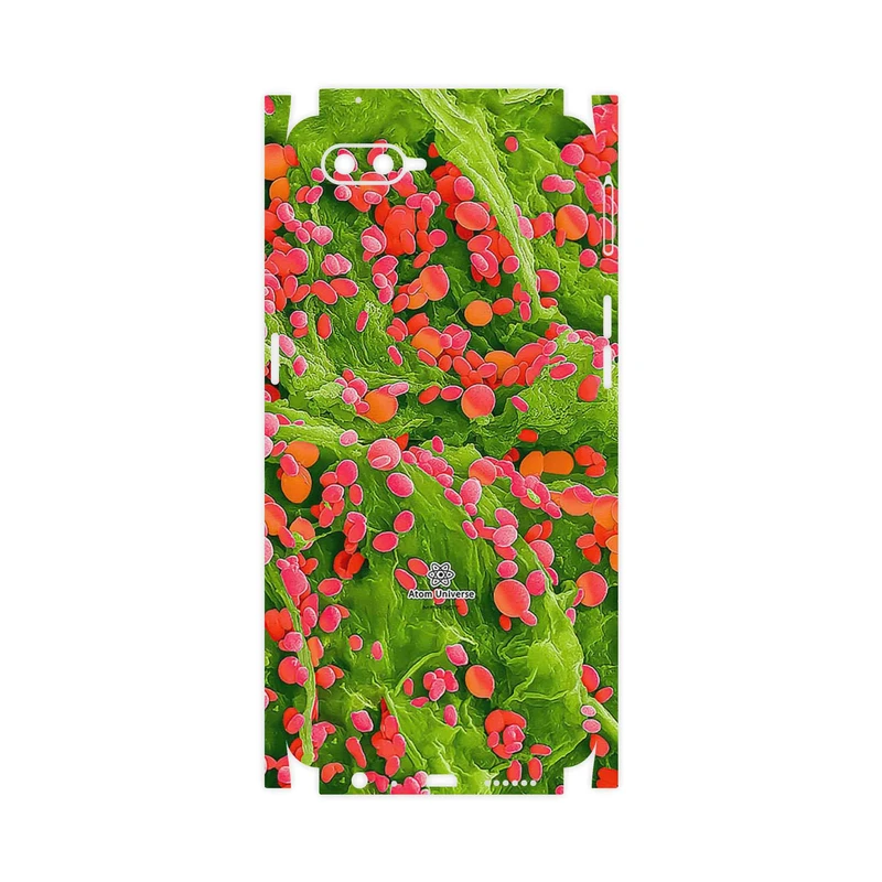 برچسب پوششی ماهوت مدل Atom Universe 3-FullSkin مناسب برای گوشی موبایل اپو K1