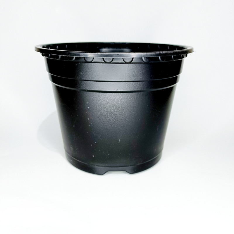 گلدان مدل ژله ای کد A_16 بسته 10 عددی