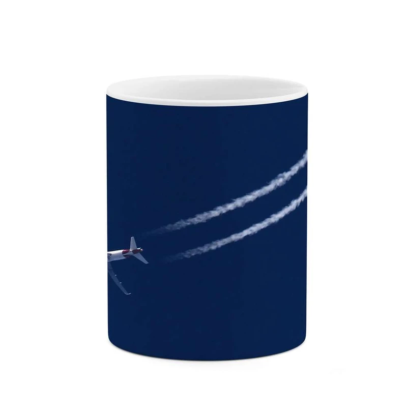 ماگ کاکتی مدل هواپیما کد mgh14691