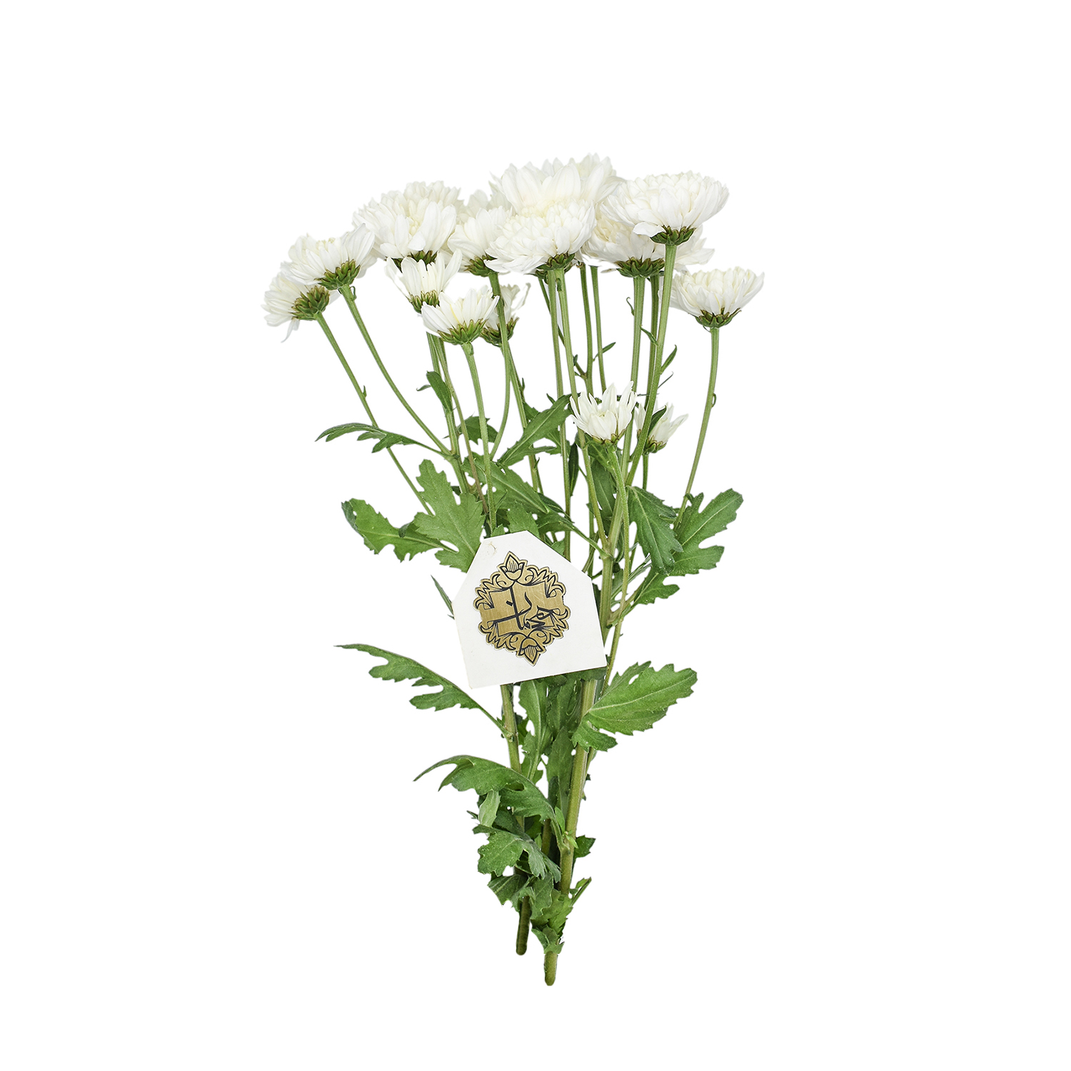 دسته گل داودی مینیاتوری سفید هیمان کد 1072