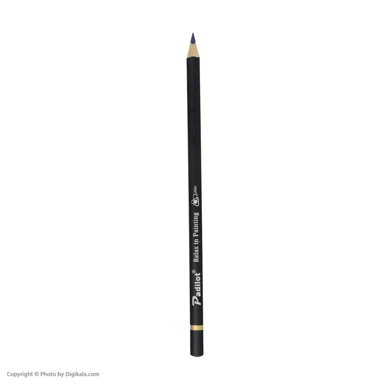 مداد رنگی 12رنگ پادیلوت مدل M-810212-2