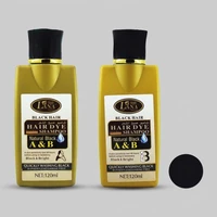 شامپو رنگ مو لانا مدل W_Dye حجم 120 میلی لیتر رنگ مشکی مجموعه 2 عددی