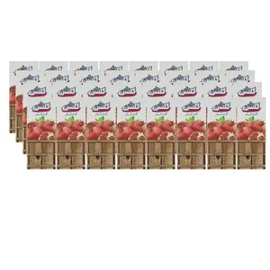نکتار انار گلشن - 200 میلی لیتر بسته 32 عددی