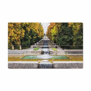 MAHOOT SHAHZADEH-Garden Cover Sticker for Microsoft Surface Pro 2 2013