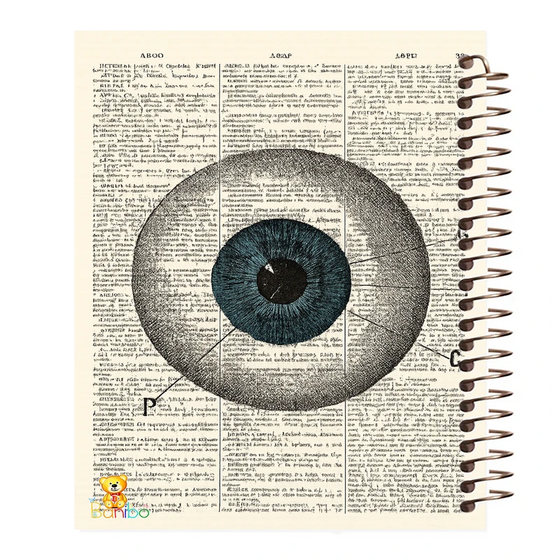 دفتر نقاشی 50 برگ بانیبو مدل چشم کد 2761