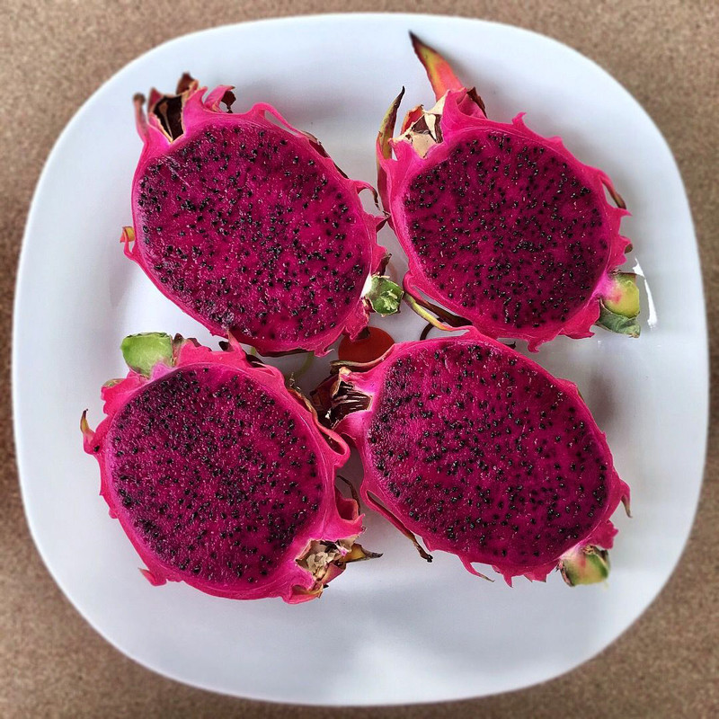 بذر میوه دراگون فروت بنفش سانیا سید مدل D1