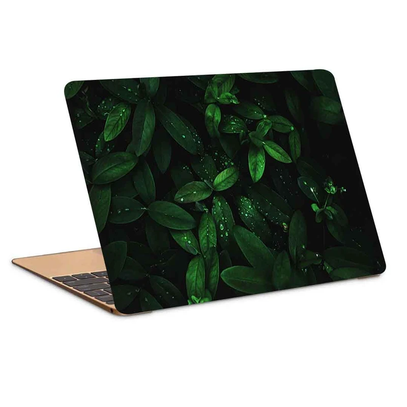 استیکر لپ تاپ طرح leaves drops dew کد P-825 مناسب برای لپ تاپ 15.6 اینچ