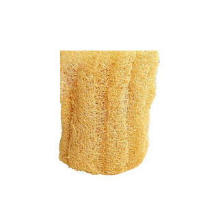لیف ماساژ بالمی مدل Sponge