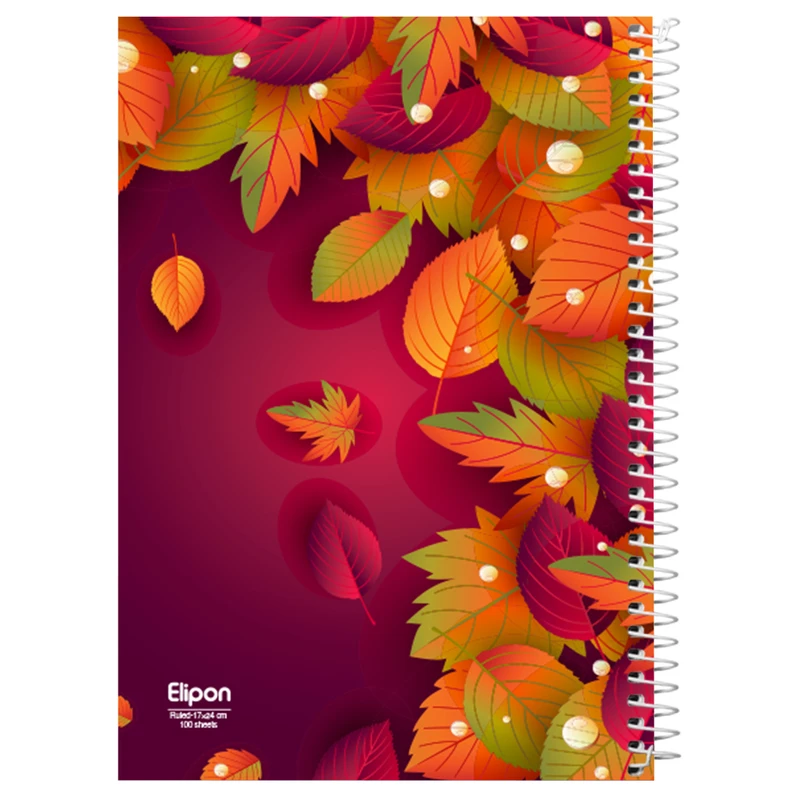 دفتر مشق 100 برگ الیپون کد 2781277