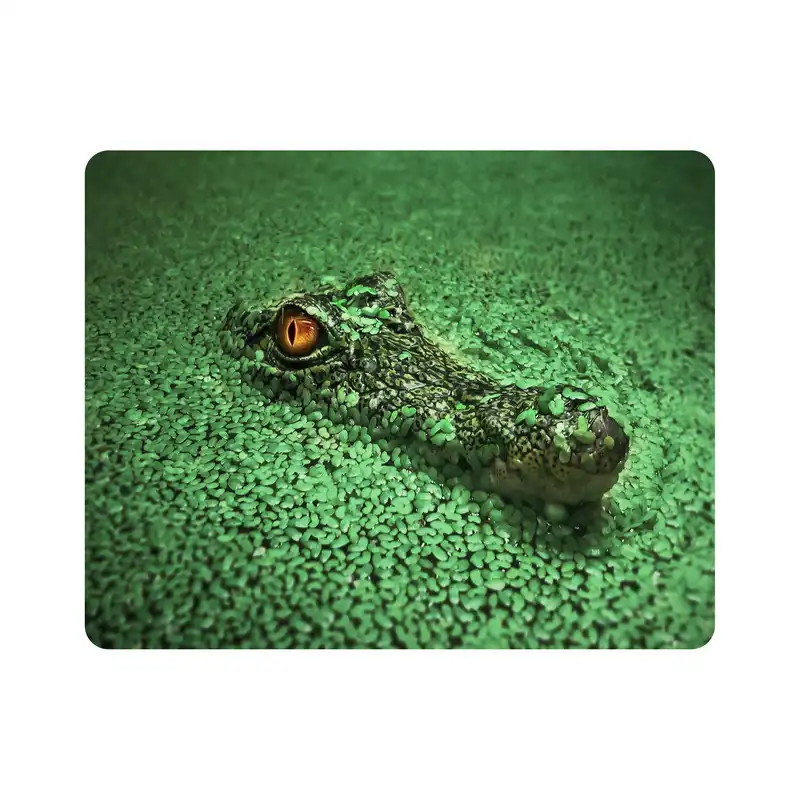 ماوس پد اطلس آبی طرح تمساح و سوسمار و مرداب مدل T1520