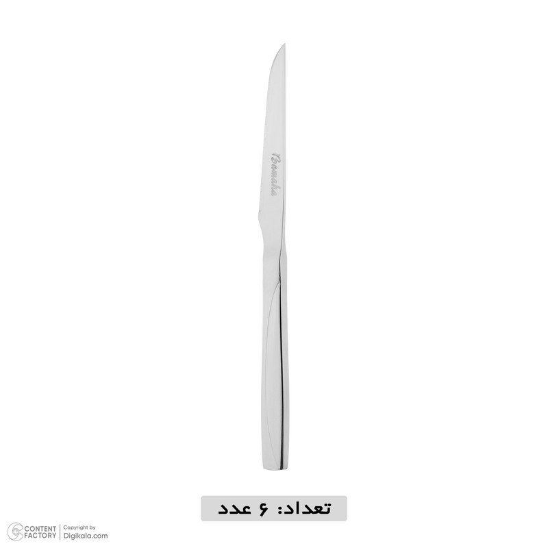 سرویس کارد و چنگال استیل  12 پارچه  مناسب برای 6 نفر باماها مدل ماینز کد 261