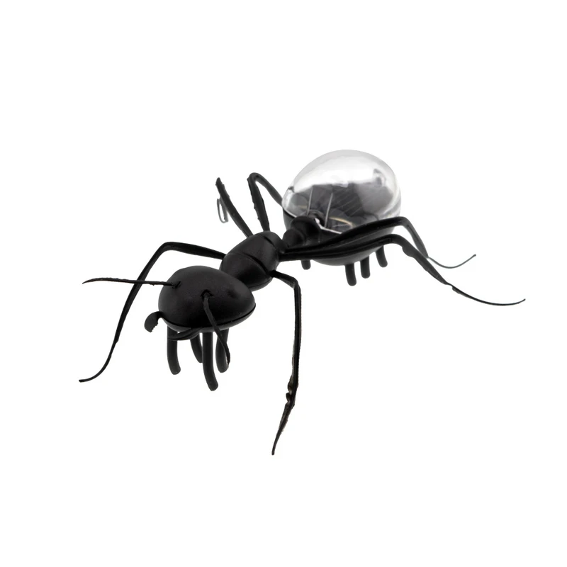 اسباب بازی زینتی برانت مدل خورشیدی طرح مورچه