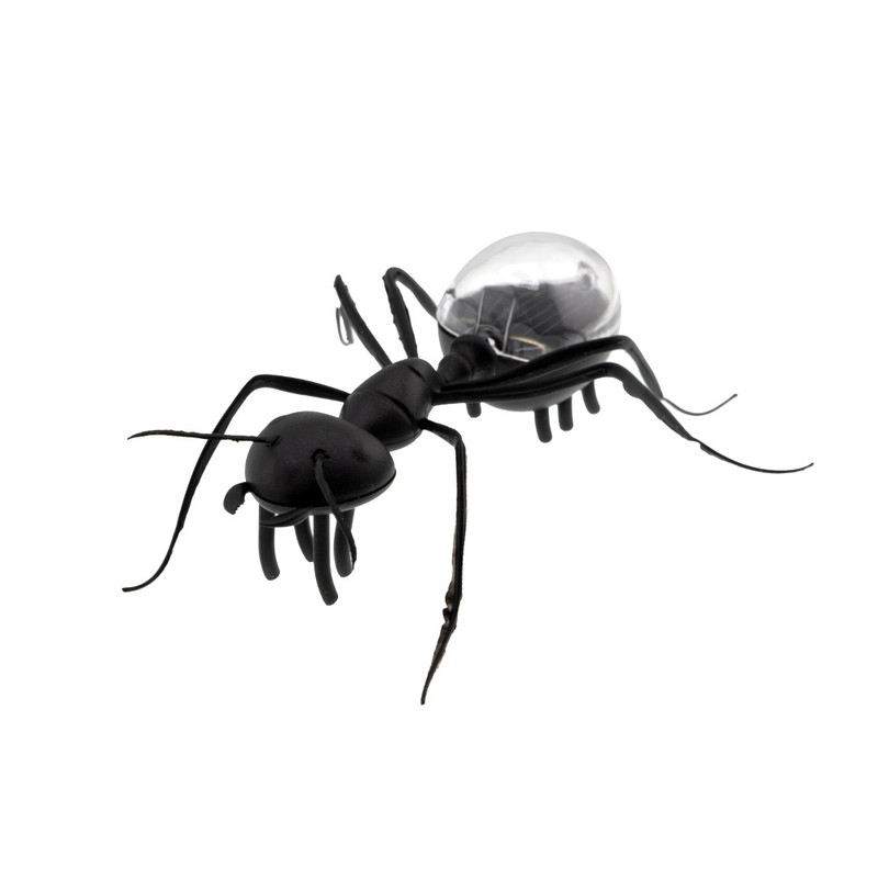 اسباب بازی زینتی برانت مدل خورشیدی طرح مورچه