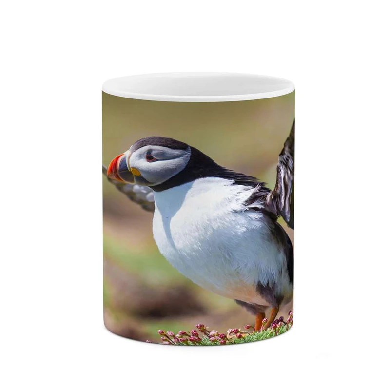 ماگ کاکتی مدل پرنده کد mgh16662