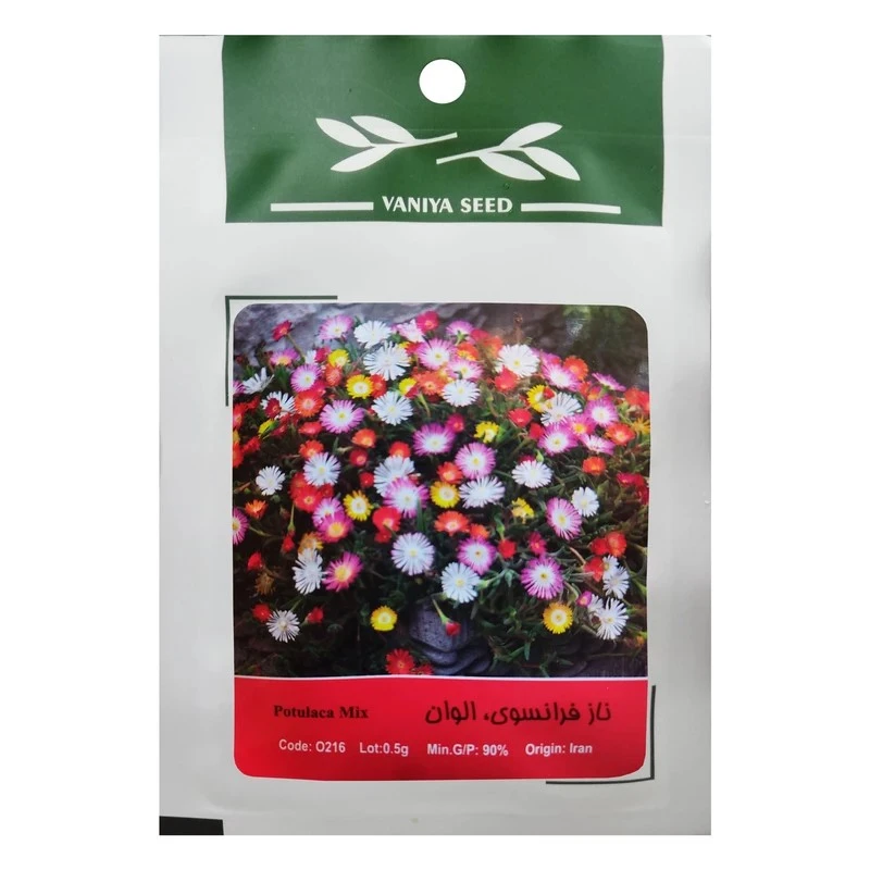 بذر گل ناز فرانسوی الوان وانیا سید مدل BS9546