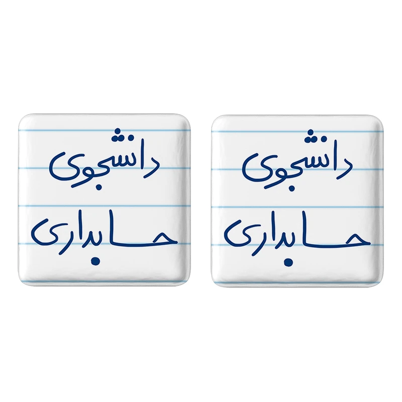 مگنت خندالو مدل دانشجوی حسابداری کد 5846 مجموعه 2 عددی