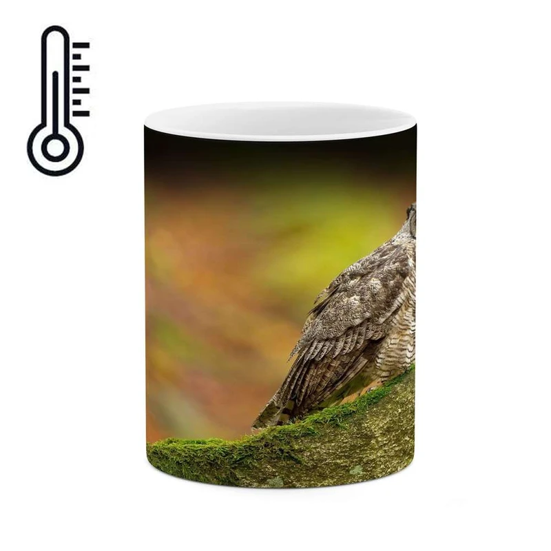 ماگ حرارتی کاکتی مدل جغد کد mgh16478