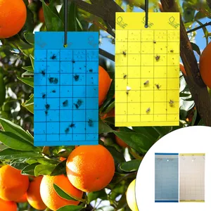 چسب حشره کش مدل M003 بسته 2 عددی