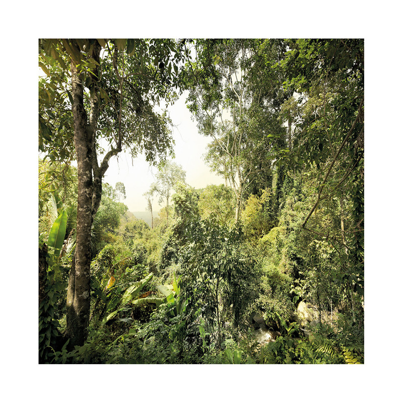 پوستر دیواری کمار مدل XXL4-024