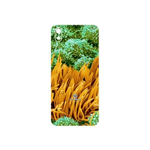 MAHOOT Atom Universe 6 Cover Sticker for Xiaomi Redmi 7A