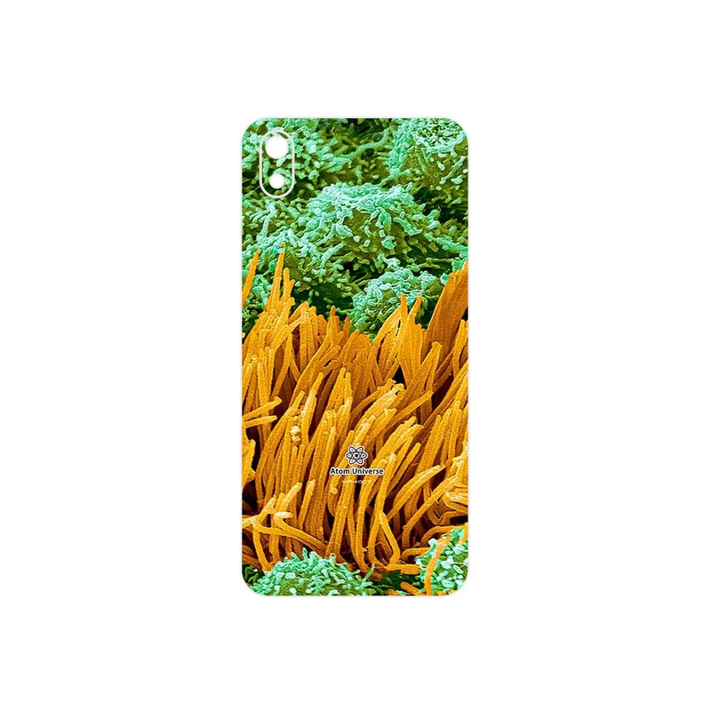 برچسب پوششی ماهوت مدل Atom Universe 6 مناسب برای گوشی موبایل شیائومی Redmi 7A