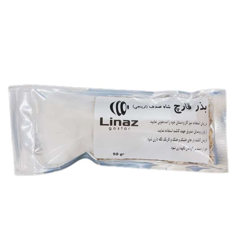 بذر قارچ شاه صدف ارینجی مدل 03