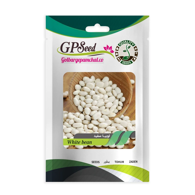 بذر لوبیا سفید گلبرگ پامچال کد GPF-133