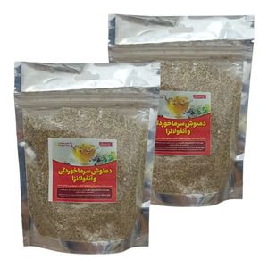 دمنوش گیاهی سرماخوردگی و آنفولانزا گیاهستان حکیم - 100 گرم بسته 2 عددی
