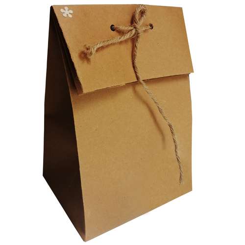 ساک هدیه مدل  کرافت ساده طرح حجیم تاشو H بسته 10 عددی