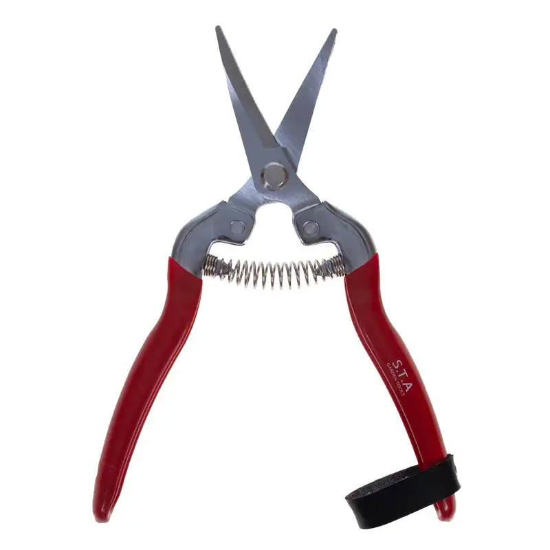 قیچی میوه چینی اس تی ای مدل S - 110