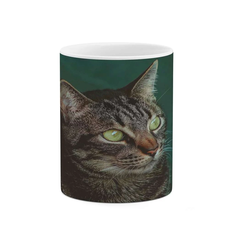 ماگ کاکتی مدل گربه کد mgh16226