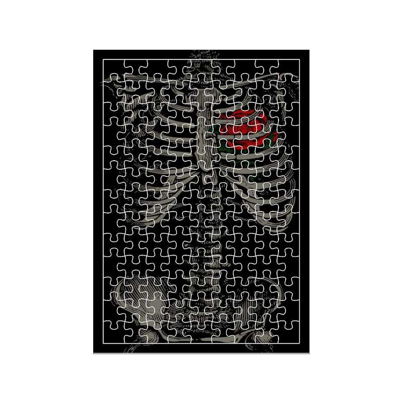 پازل 117 تکه مدل اسکلت کد 1667