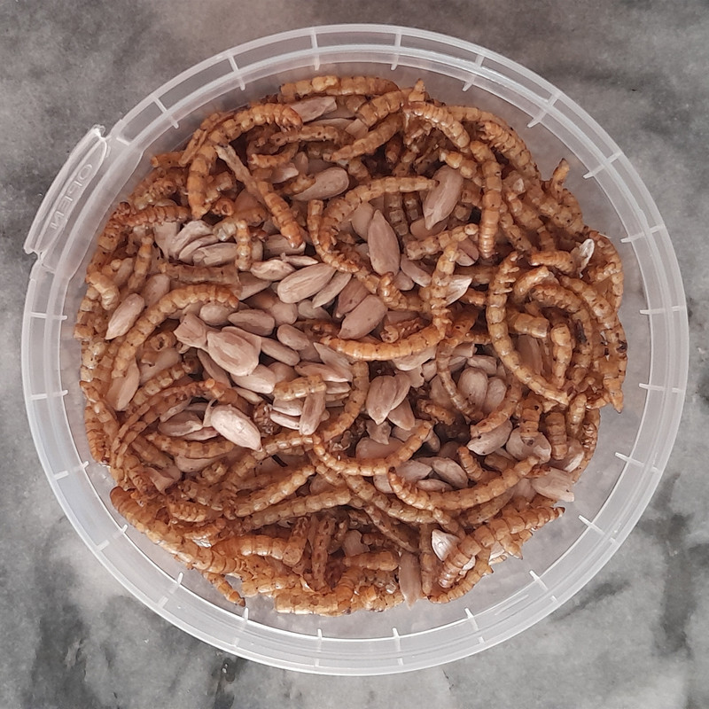 تشویقی عروس هلندی ولکانو میلورم مدل تخمه و میلورم وزن 100 گرم