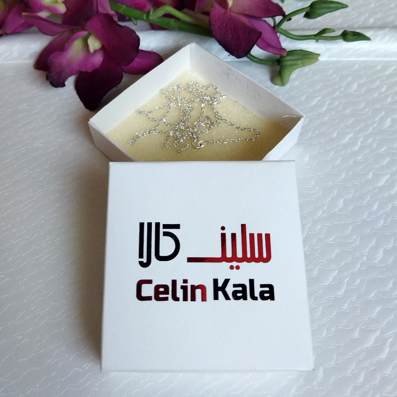 زنجیر نقره مردانه سلین کالا مدل دیپلمات T70