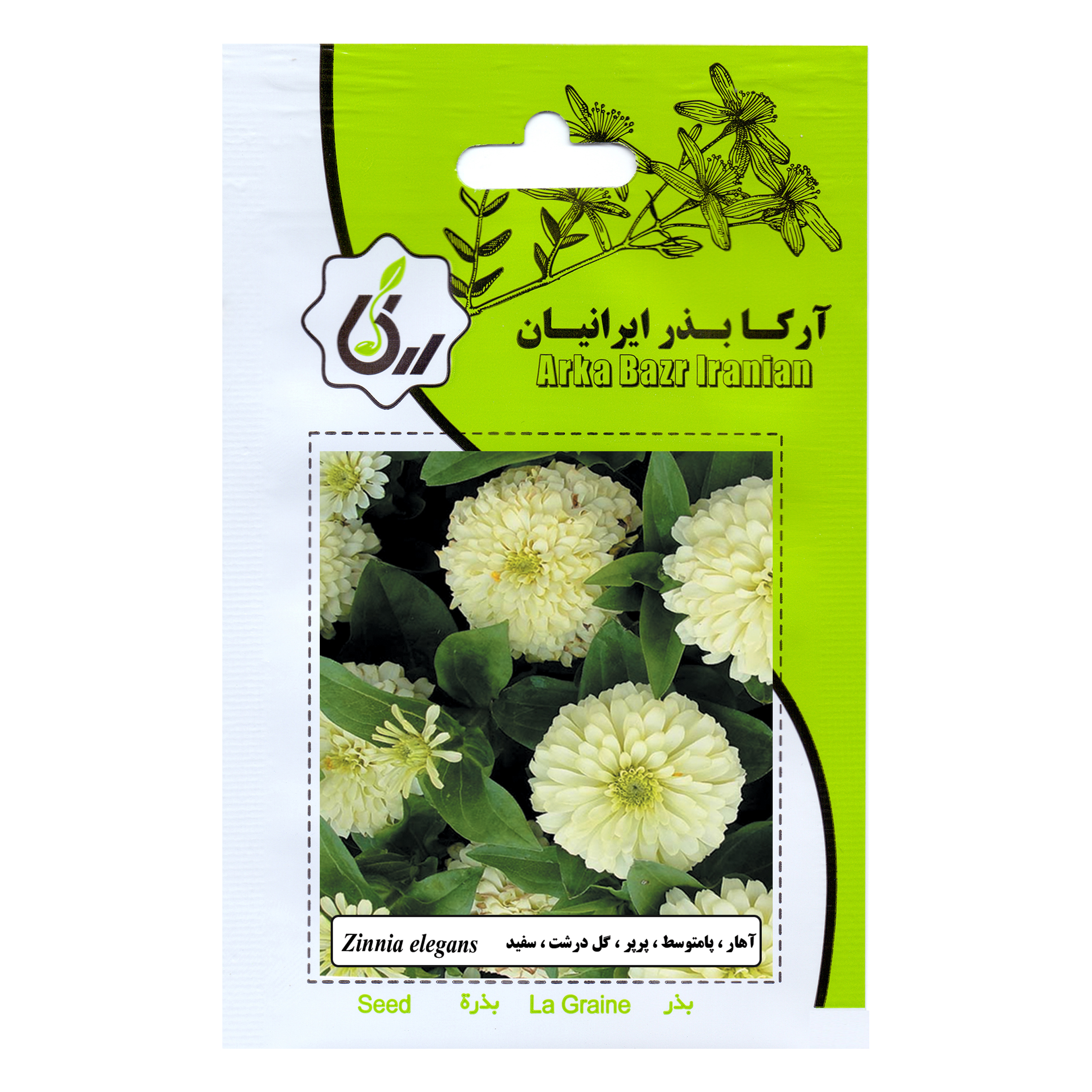 بذر گل آهار پامتوسط پرپر گل درشت سفید آرکا بذر ایرانیان کد 75-ARK