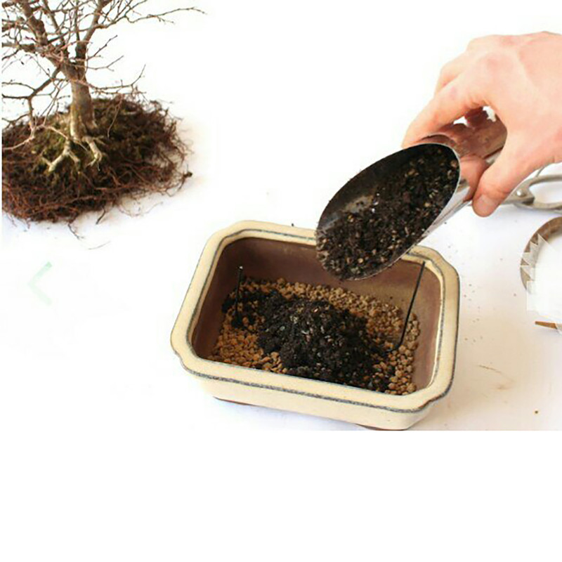 خاک بونسای آنتیک خاک مدل 10Litr وزن 5 کیلوگرم